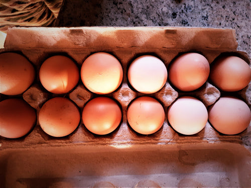 Picture shows one dozen brown chicken eggs in a carton